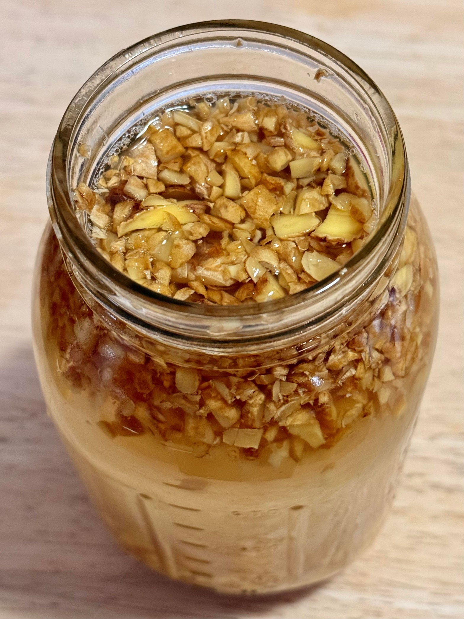 Cultured Ginger Beer  Preserved