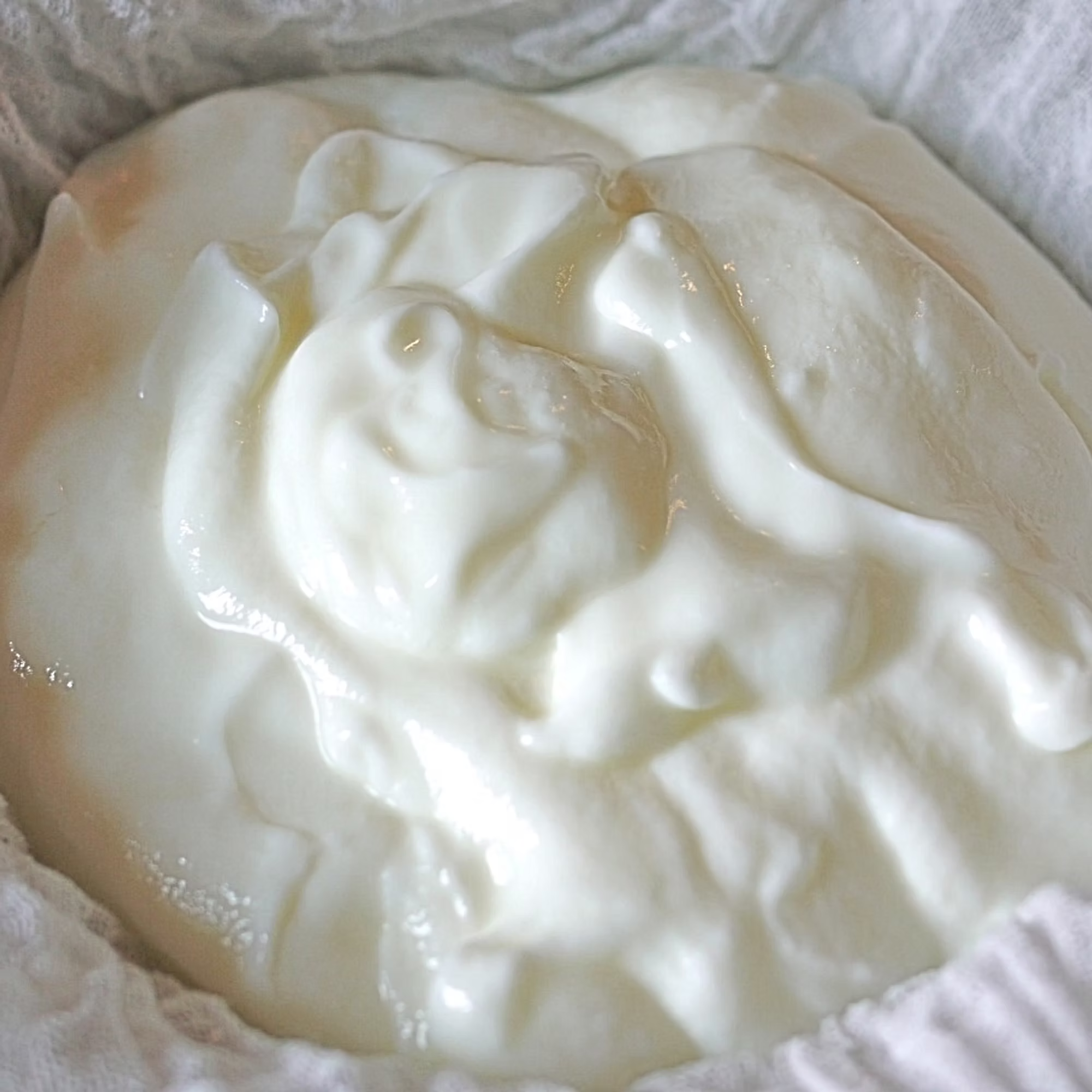 Greek Yogurt & Yogurt Cheese