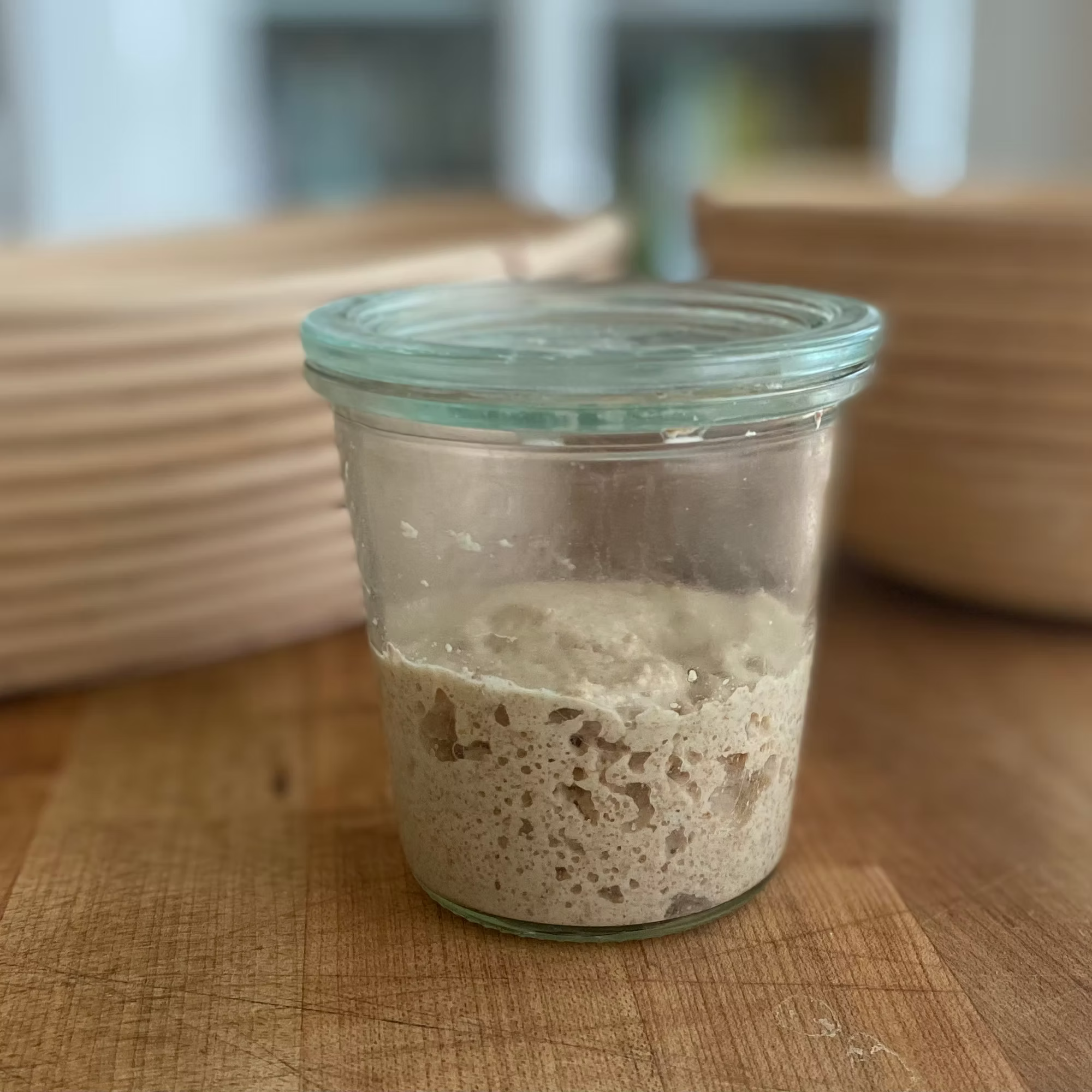 Activating Dried Sourdough Starter