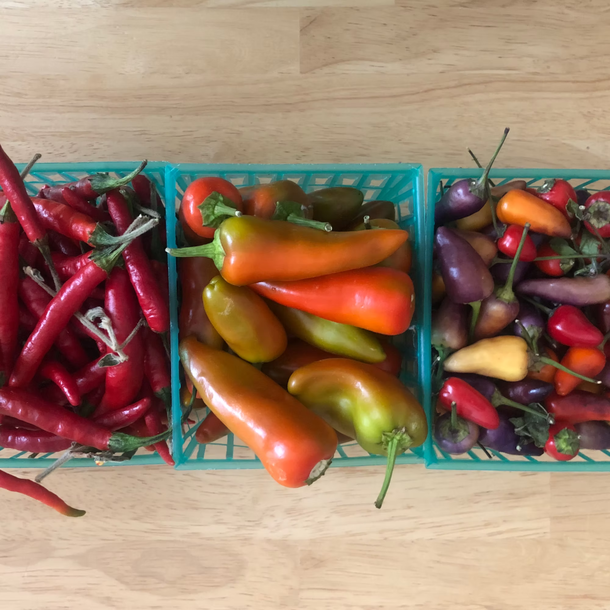 Fermented Hot Sauce