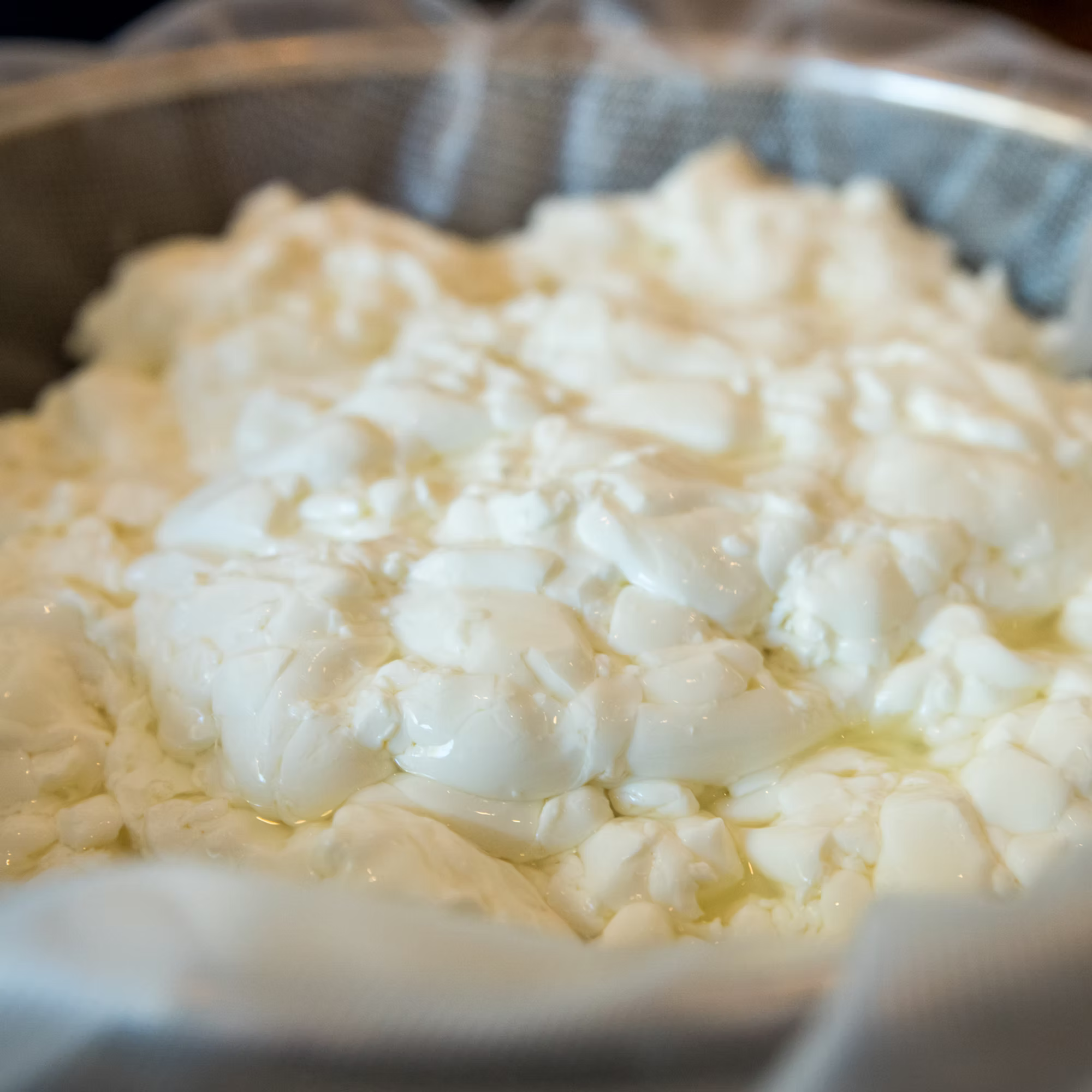 Chevre & Fromage Blanc Cheese