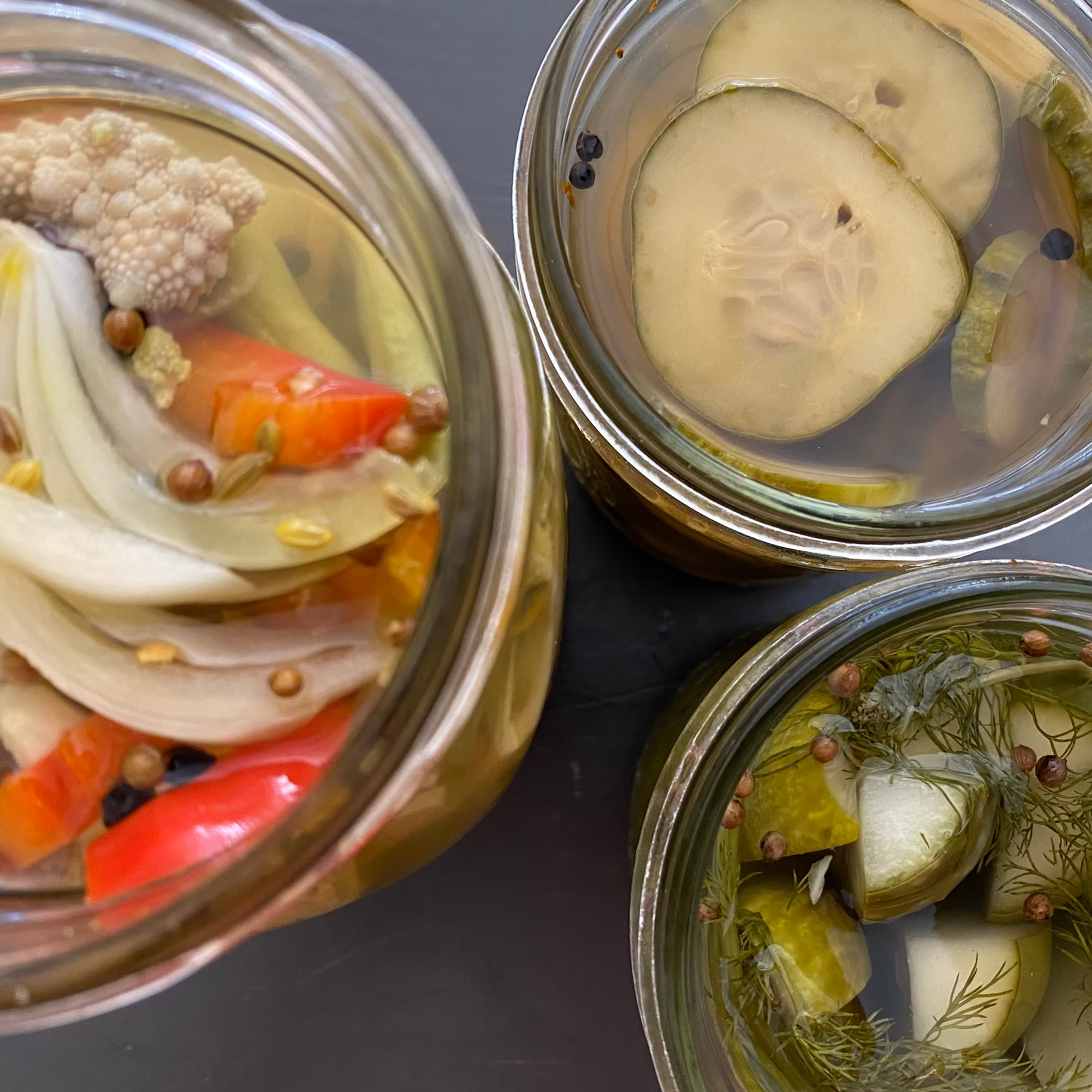 You Can Pickle That - Vinegar Pickles