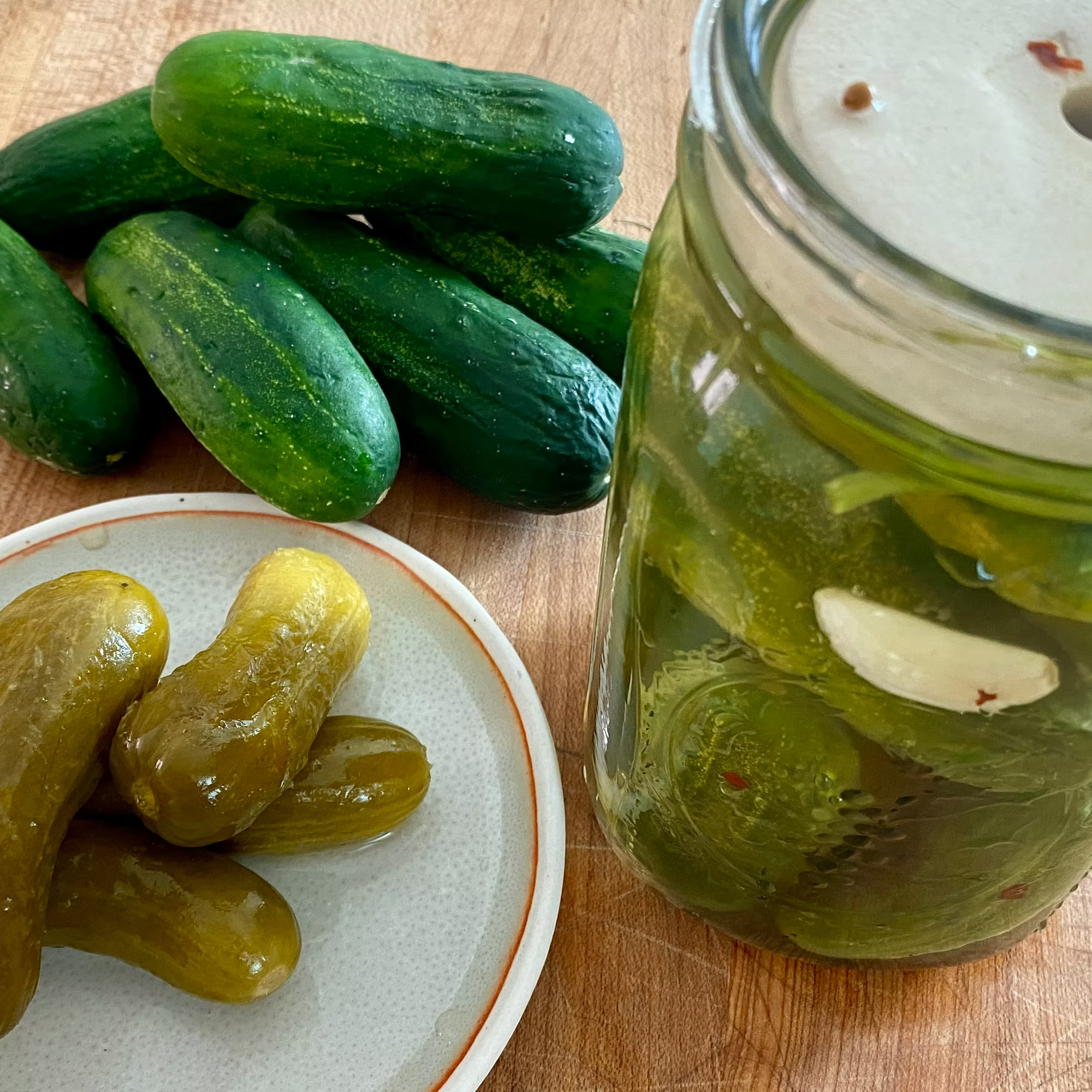 Fermented Sour Dill Pickles