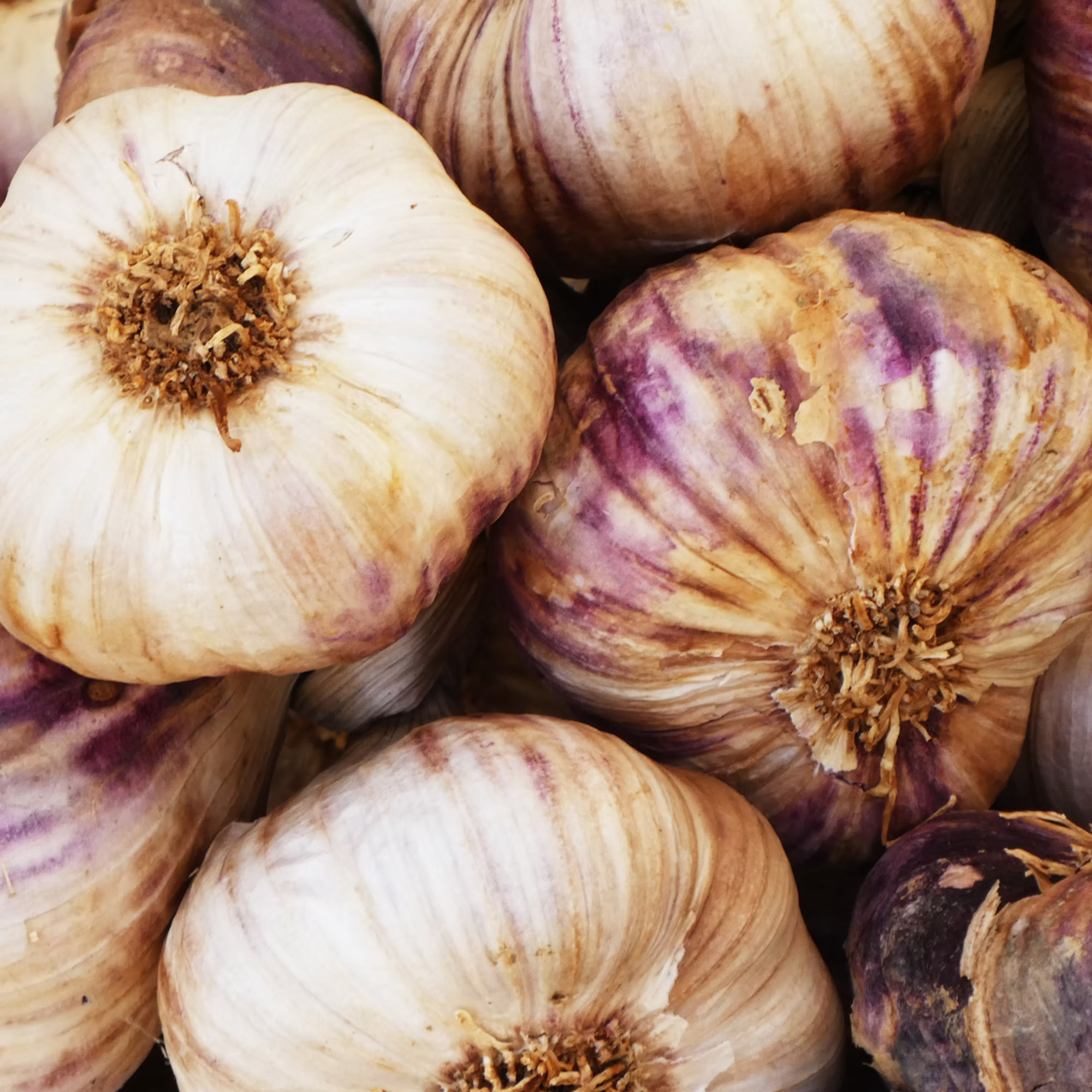 Honey Fermented Garlic
