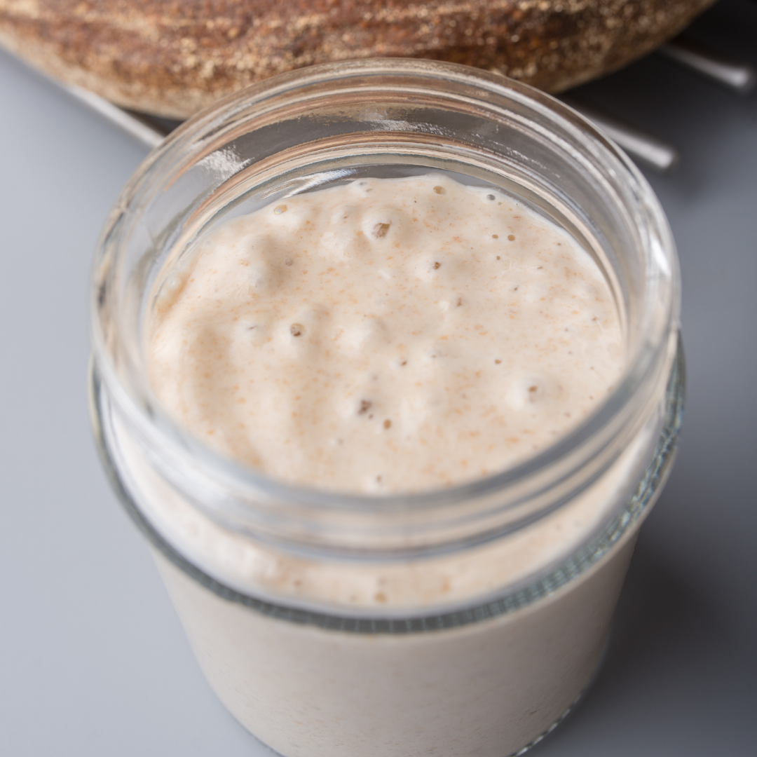Your New Sourdough Starter