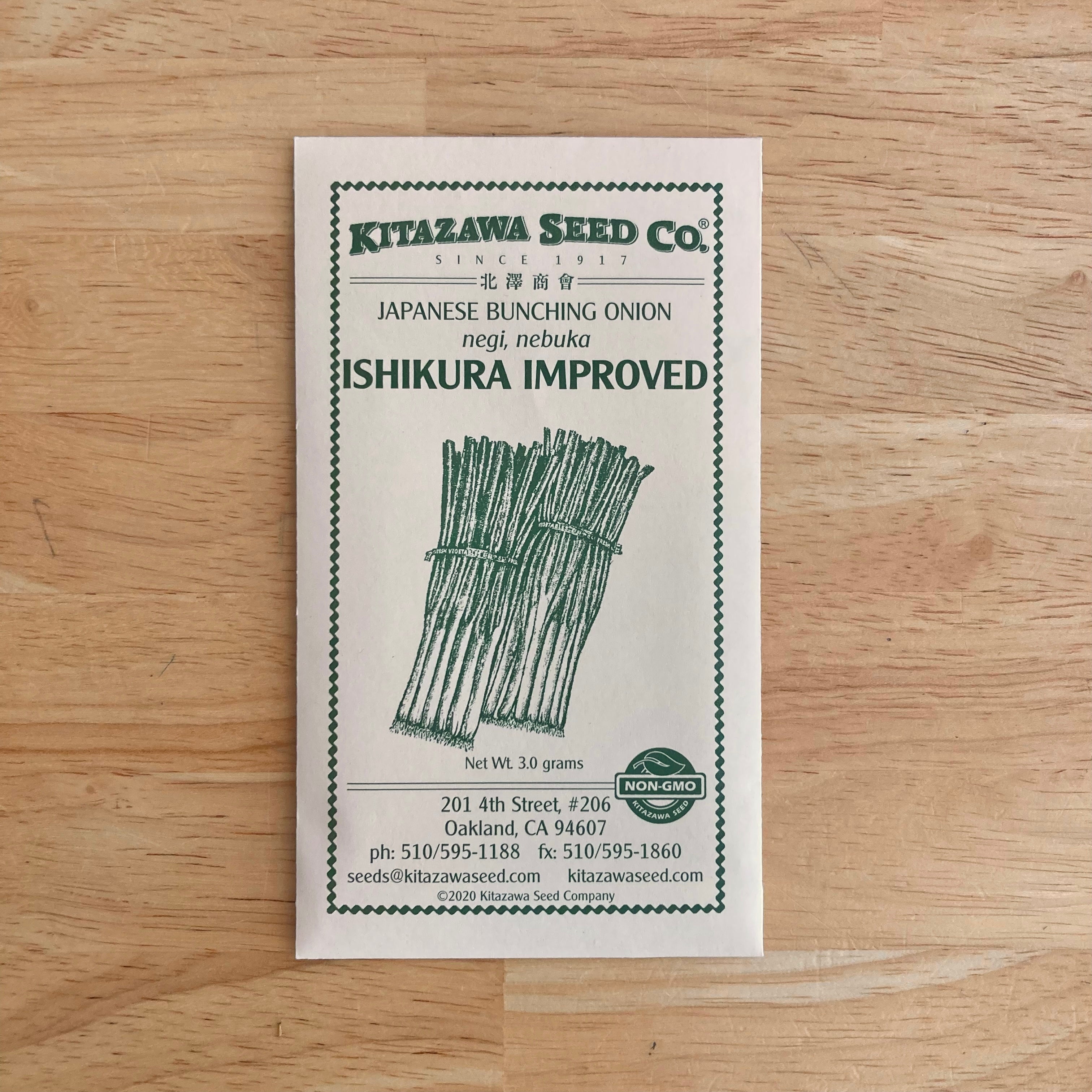 アオハダ　苗　302 Kitazawa Seeds | Buy Online | Preserved Oakland