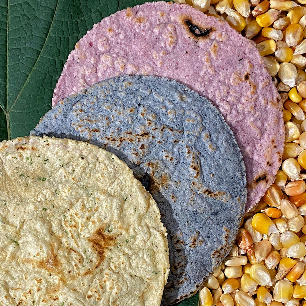 26 - Nixtamal, Masa & Tortillas - Preserved Oakland