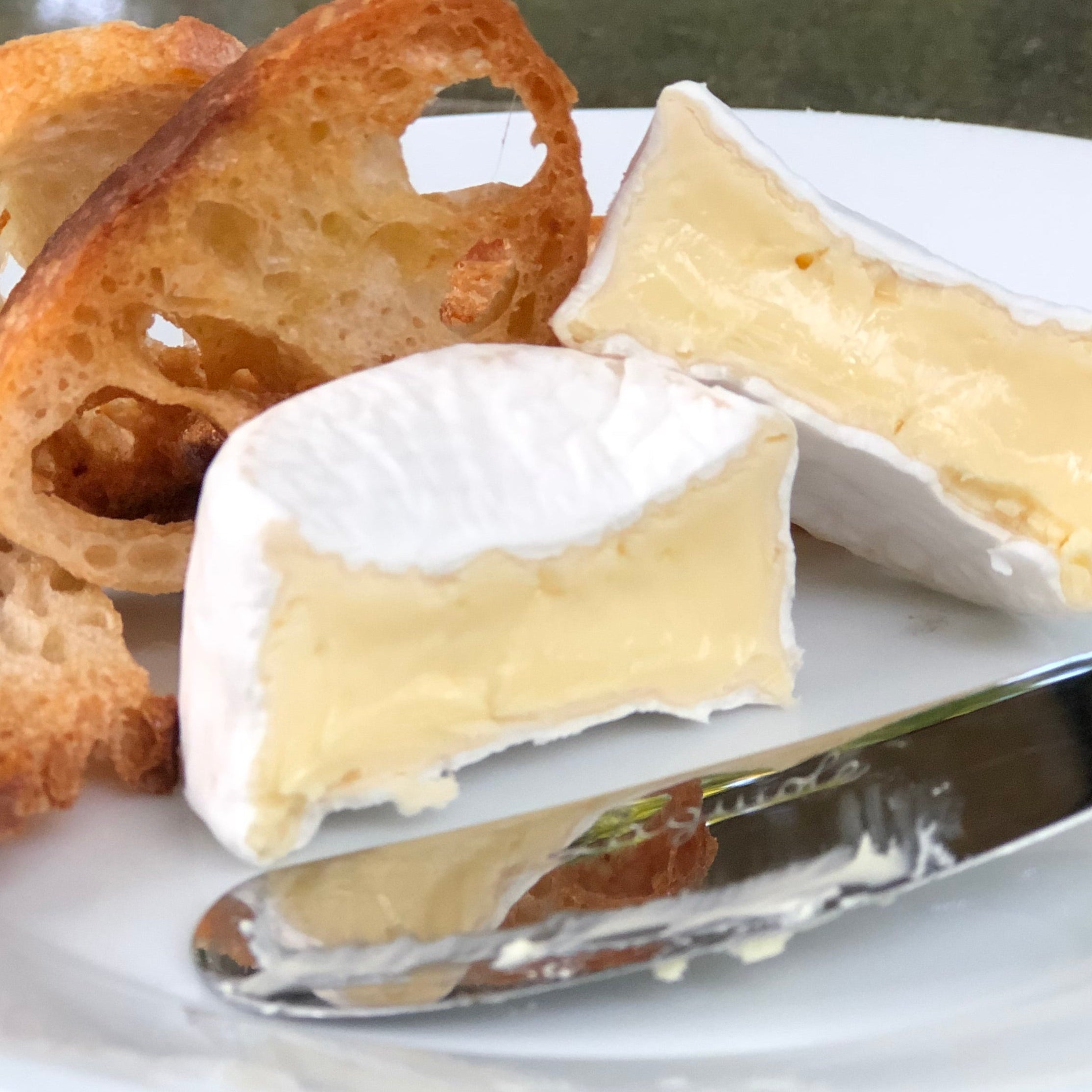 26 - Brie Style Cheese Making - Preserved Oakland