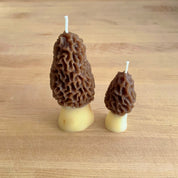 Happy Organics Produce Candles Morel Mushroom Set - Preserved Oakland