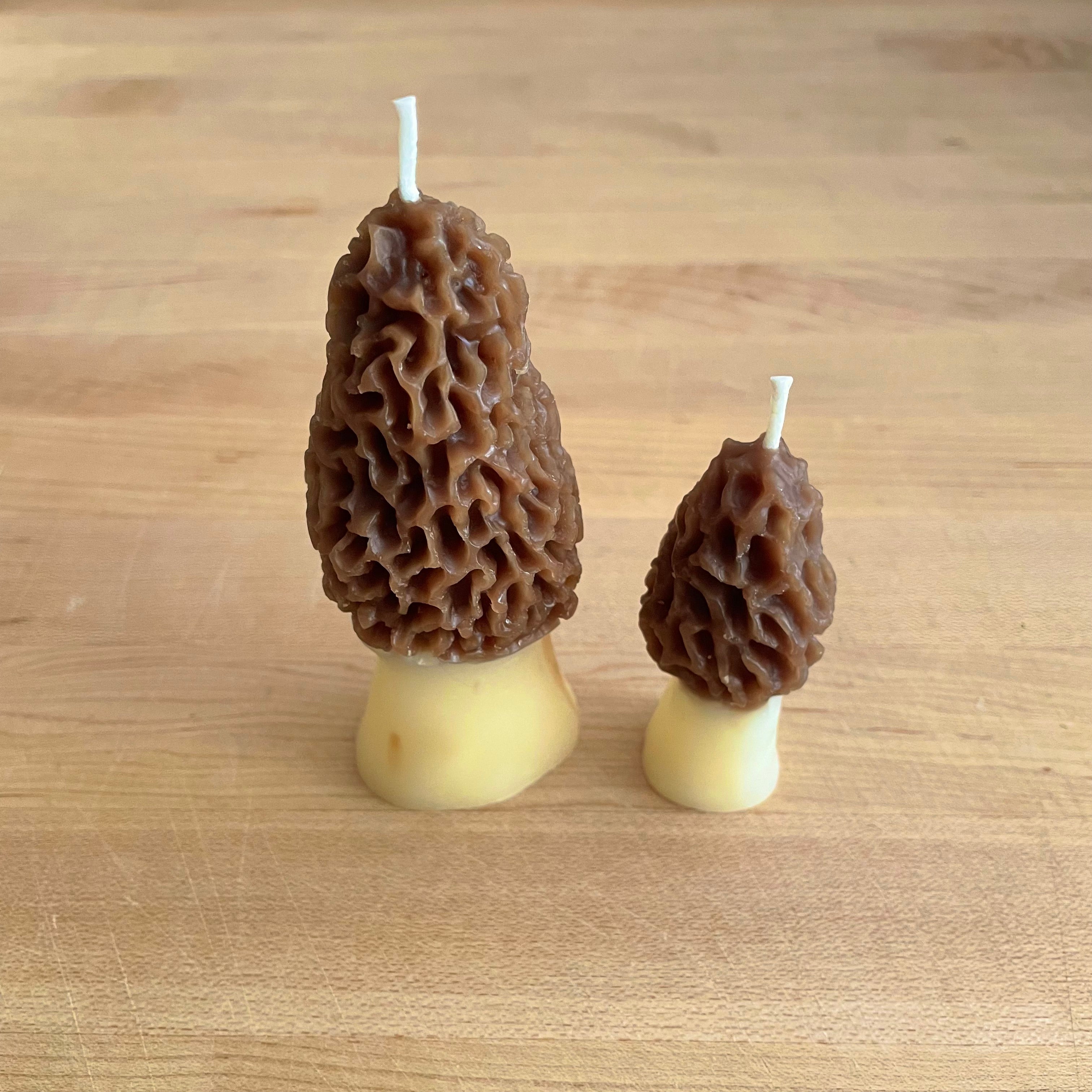 Happy Organics Produce Candles Morel Mushroom Set - Preserved Oakland