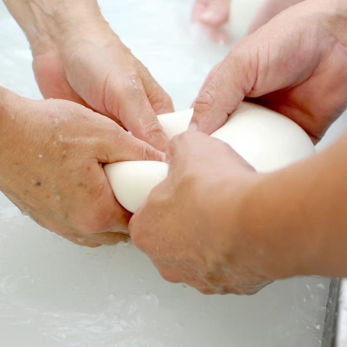 Mozzarella Making - Sat 3/7 - Preserved Oakland